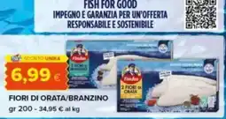 Tigre Fiori di orata/branzino offerta