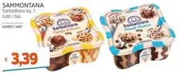 Stop&Shop Sammontana Sorbettiera offerta