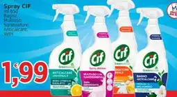 Market Ingross Spray CIF offerta