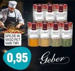 Emporio Amato Spezie in vaso pet vari tipi Geber offerta