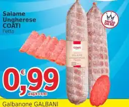 Market Ingross Salame Ungherese Coati offerta