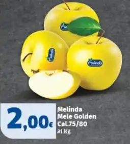 Sigma Melinda Mele Golden offerta