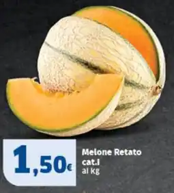 Sigma Melone Retato offerta