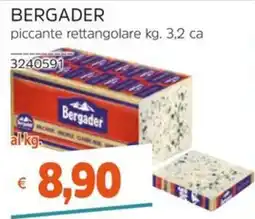 Stop&Shop Bergader piccante rettangolare offerta