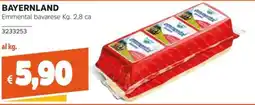 Stop&Shop Emmenthal bavarese offerta