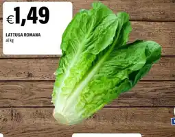 Hurrà Lattuga romana offerta