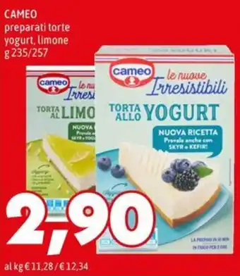 Cameo torta allo yogurt