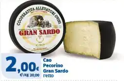Sigma Cao Pecorino Gran Sardo offerta