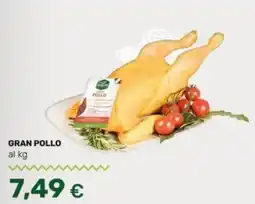 Tigre Gran Pollo offerta
