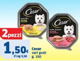 Sigma Cesar varli gusti offerta