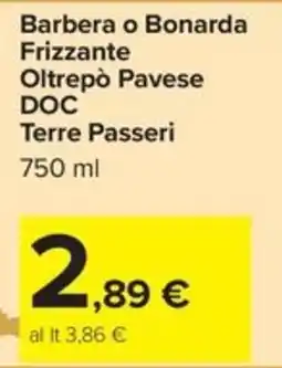 Carrefour Iper Barbera o Bonarda Frizzante Oltrepò Pavese DOC Terre Passeri offerta