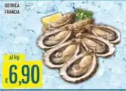 Mercadò Ostrica Francia offerta