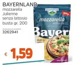 Stop&Shop Bayerland mozzarella julienne senza lattosio offerta