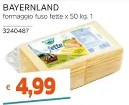 Stop&Shop Bavaria formaggio fuso fette offerta