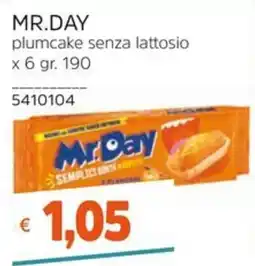 Stop&Shop Mr.Day plumcake senza lattosio offerta