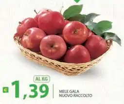 Re Mercato Lucrezia Mele Gala offerta