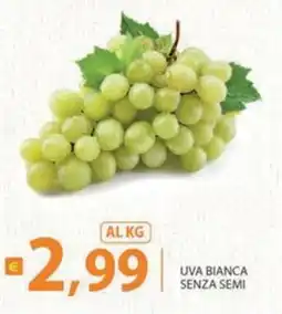 Re Mercato Lucrezia Uva bianca senza semi offerta