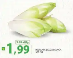 Re Mercato Lucrezia Insalata belga bianca offerta