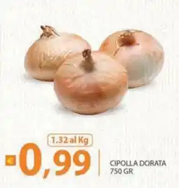 Re Mercato Lucrezia Cipolla dorata offerta