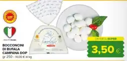 Tigre Bocconcini di bufala campana dop favolosa offerta