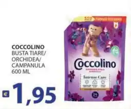 Re Mercato Lucrezia Coccolino busta tiare/orchidea/campanula offerta
