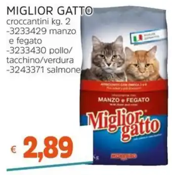 Miglior gatto croccantini