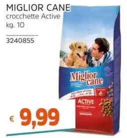 Stop&Shop Miglior cane crocchette Active offerta