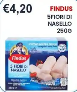 Caramico Findus 5 Fiori di Nasello offerta