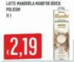 Mercadò Latte Mandorla Manifor Brick offerta