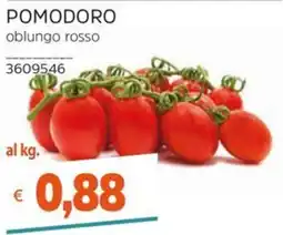 Stop&Shop Pomodoro oblungo rosso offerta