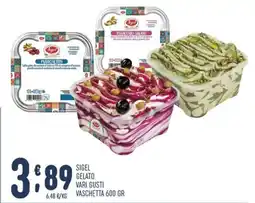 Gruppo Pascar Sigel gelato vari gusti offerta