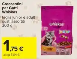 Carrefour Iper Crocchettini per Gatti Whiskas offerta