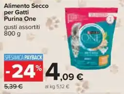 Carrefour Iper Alimento Secco per Gatti Purina One offerta