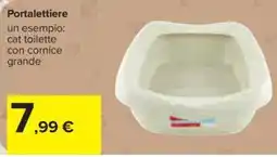 Carrefour Iper Portalettiere cat toilette con cornice grande offerta