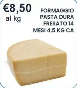 Caramico Formaggio pasta dura fresato offerta