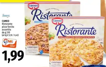 Cameo Ristorante pizza farcita assortita