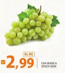 Supermercati Bruscoli Uva bianca senza semi offerta
