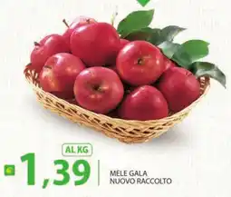 Supermercati Bruscoli Mele Gala offerta