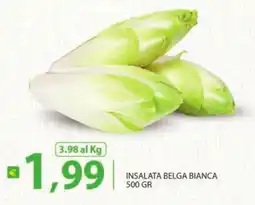 Supermercati Bruscoli Insalata belga bianca offerta
