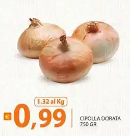 Supermercati Bruscoli Cipolla dorata offerta