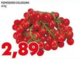 MEGA Pomodoro Cigliegino offerta