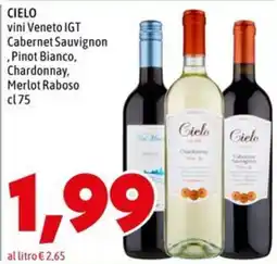 MEGA Cielo vini Veneto IGT offerta