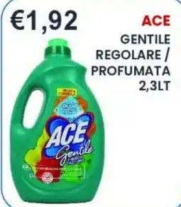 Caramico Ace Gentile offerta