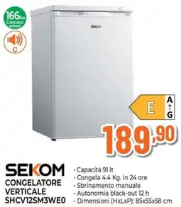 Extracoop Sekom congelatore verticale offerta