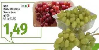 Uva Bianca/Rosata Senza Semi