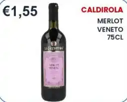 Caramico Caldirola Merlot Veneto offerta