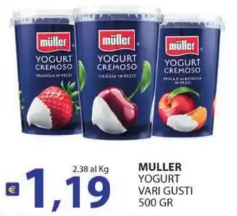 Muller Yogurt Vari Gusti
