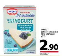 A&O Cameo le nuove Irresistibili Torta allo Yogurt offerta