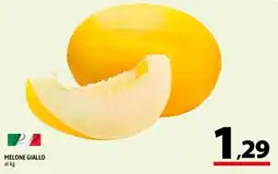 A&O Melone Giallo offerta