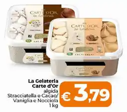 Ipercoop Radenza La Gelateria Carte d'Or algida offerta